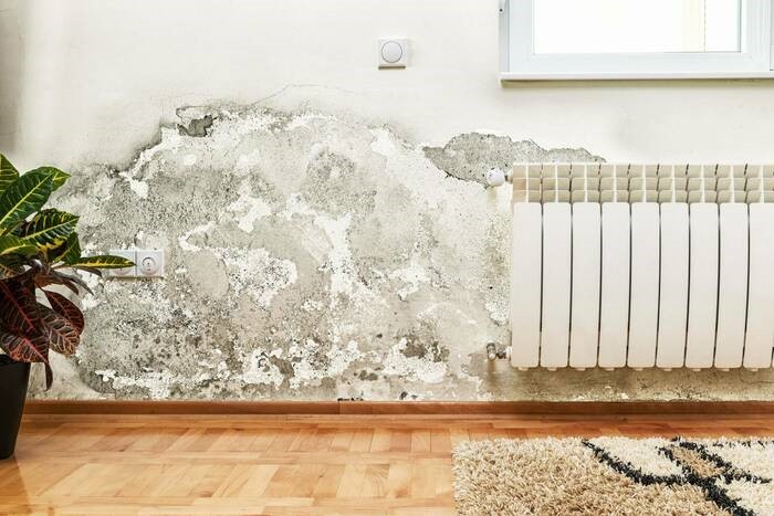 Kiểm tra và ghi nhận các hư hỏng như ẩm mốc trước khi nhận nhà