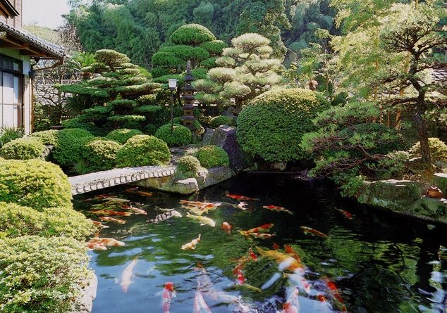 tieu canh san vuon la g 4 Tháng 12 2025