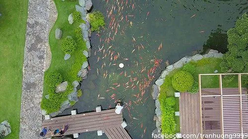 Góc nhìn từ dưới lên bắt trọn tòa nhà cao tầng cùng nền trời trong, phía trước là thảm cỏ rộng tạo sự tương phản rõ ràng giữa thiên nhiên và đô thị