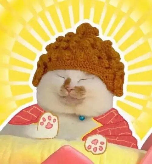 Ảnh avt Facebook em bé đội mũ len nâu với đôi má bánh bao phúng phính nhìn thẳng vào ống kính vô cùng đáng yêu tạo nên một hình đại diện đầy thiện cảm.