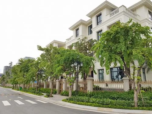 Một dãy nhà phố sáng màu với hàng cây đều tăm tắp phía trước, khung cảnh chung cư cao cấp Quận 1 mang vibe sống xanh và khá đẹp