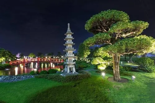 Hinh anh cong vien vinhomes ve dem lung linh anh den 6