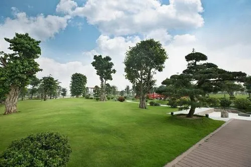 Hinh anh cong vien vinhomes ve dem lung linh anh den 9