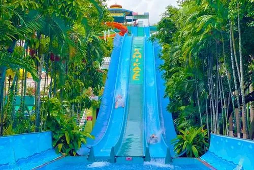 Ảnh công viên nước Đầm Sen góc chụp máng trượt thẳng cao, người chơi lao xuống nhanh tạo vệt nước dài rất đã mắt trong ngày hè oi ả