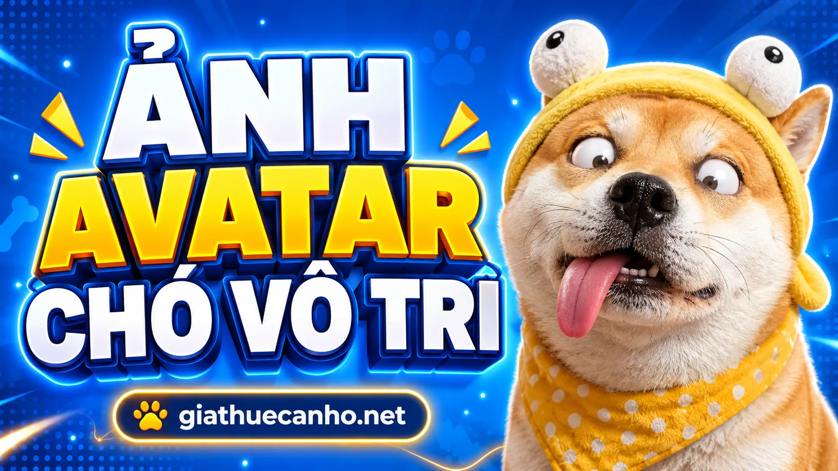Anh avatar cho vo tri thumb