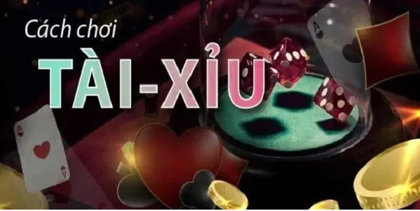 Sơ lược cách chơi tài xỉu SUNWIN