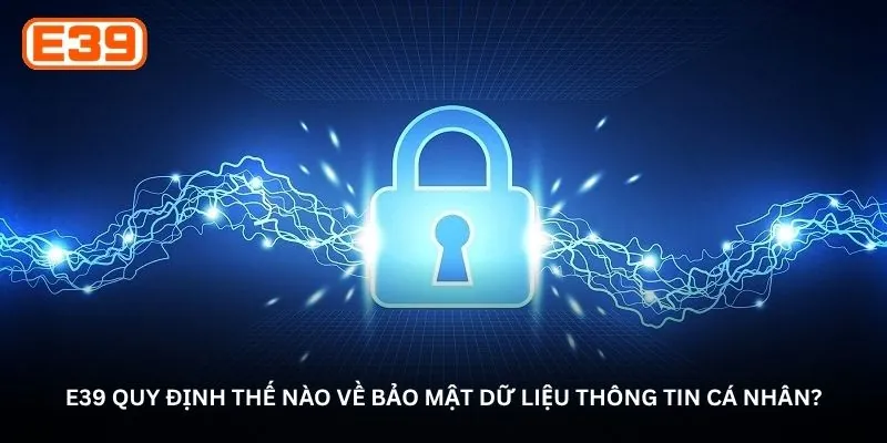 E39 quy định thế nào về bảo mật dữ liệu thông tin cá nhân?